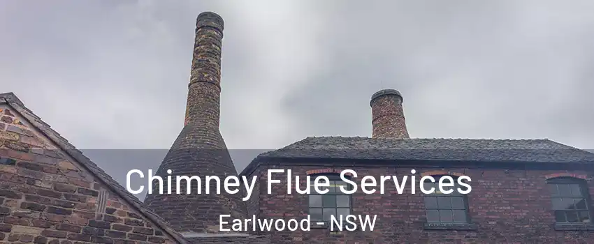 Chimney Flue Services Earlwood - NSW