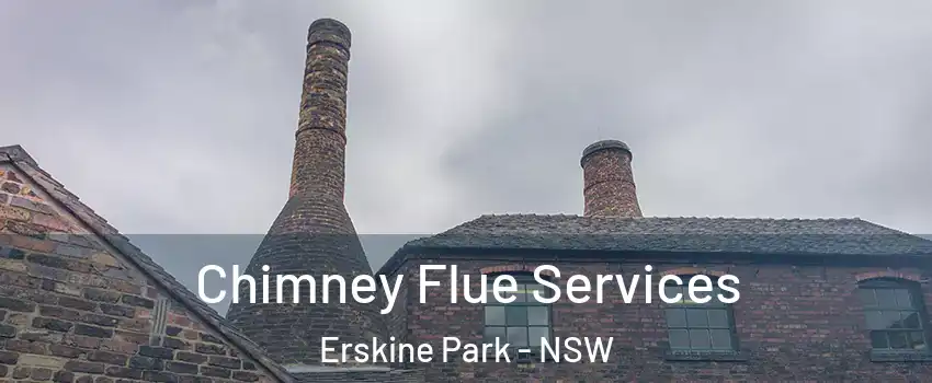 Chimney Flue Services Erskine Park - NSW