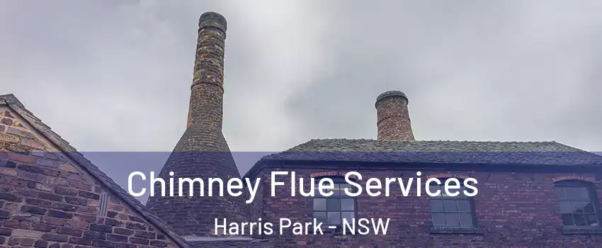 Chimney Flue Services Harris Park - NSW