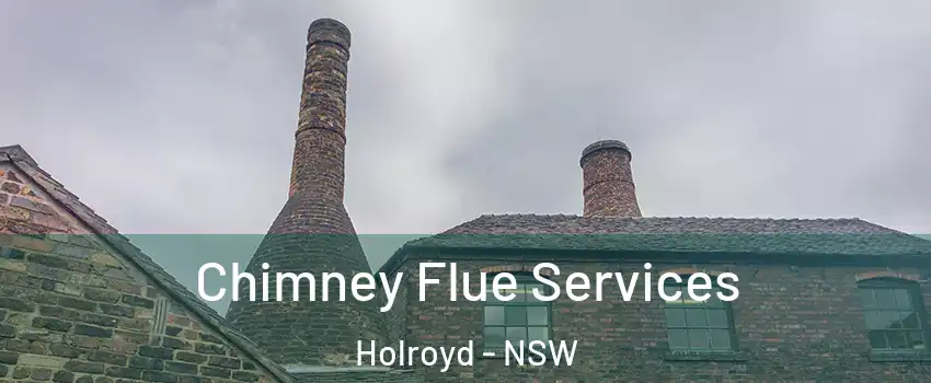 Chimney Flue Services Holroyd - NSW
