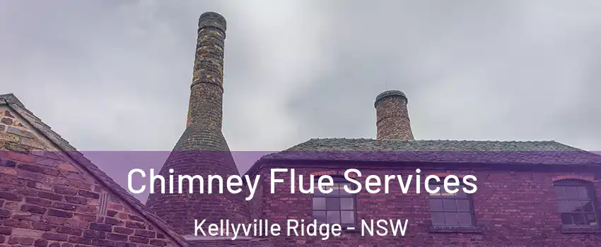 Chimney Flue Services Kellyville Ridge - NSW