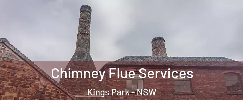 Chimney Flue Services Kings Park - NSW