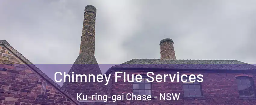 Chimney Flue Services Ku-ring-gai Chase - NSW