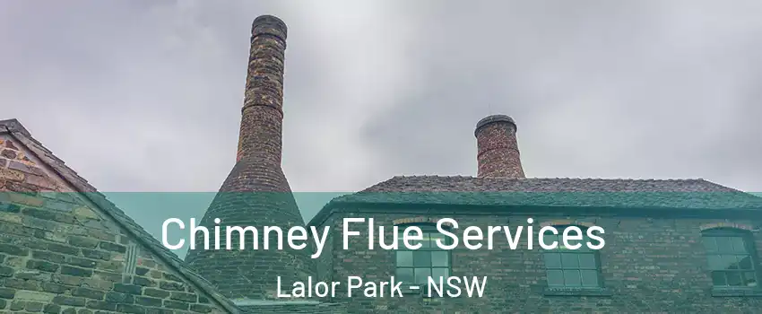 Chimney Flue Services Lalor Park - NSW