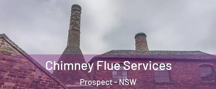 Chimney Flue Services Prospect - NSW