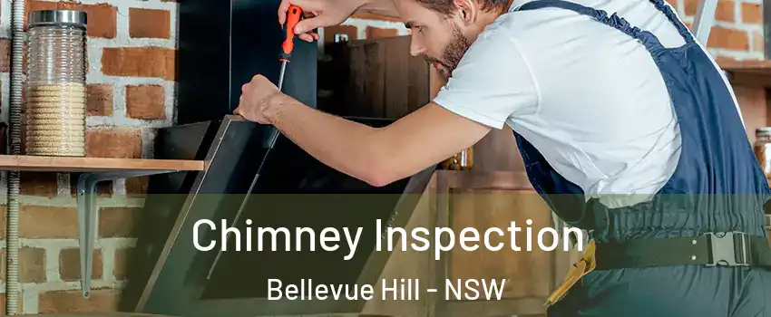Chimney Inspection Bellevue Hill - NSW