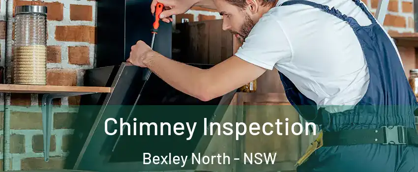 Chimney Inspection Bexley North - NSW