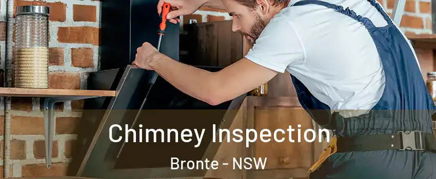 Chimney Inspection Bronte - NSW