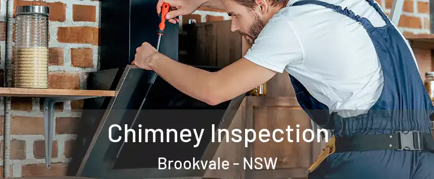 Chimney Inspection Brookvale - NSW