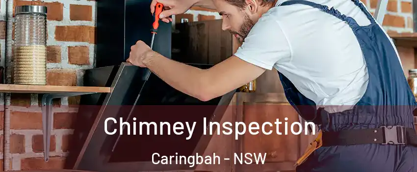 Chimney Inspection Caringbah - NSW