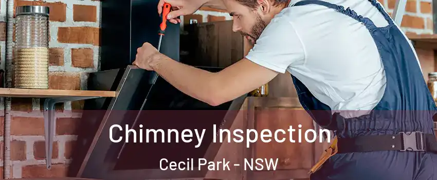 Chimney Inspection Cecil Park - NSW
