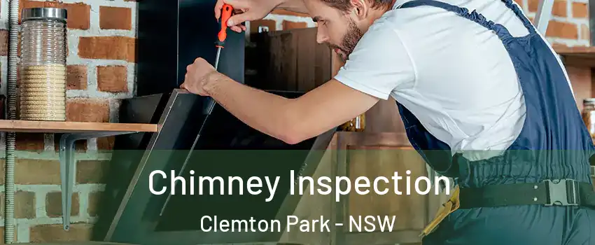 Chimney Inspection Clemton Park - NSW