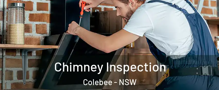 Chimney Inspection Colebee - NSW
