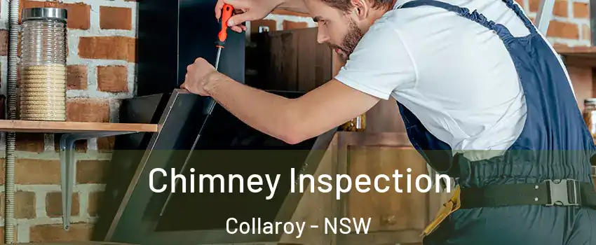 Chimney Inspection Collaroy - NSW