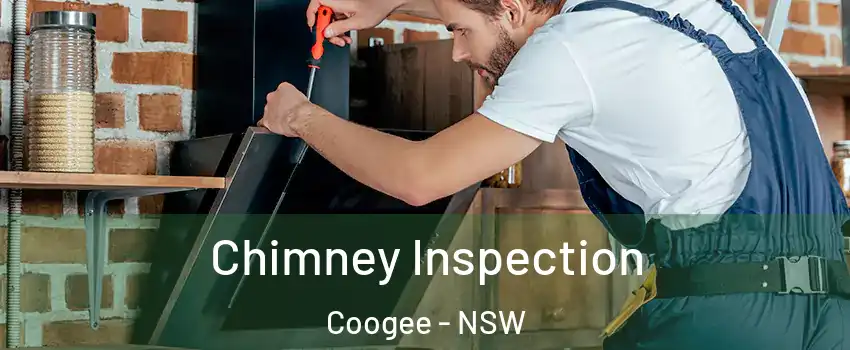 Chimney Inspection Coogee - NSW