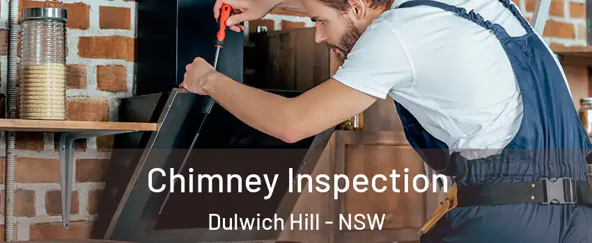 Chimney Inspection Dulwich Hill - NSW