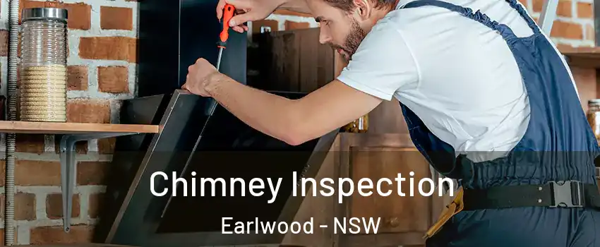 Chimney Inspection Earlwood - NSW
