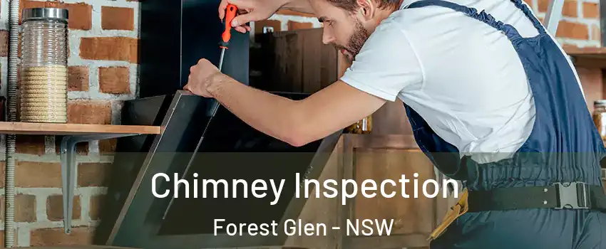 Chimney Inspection Forest Glen - NSW