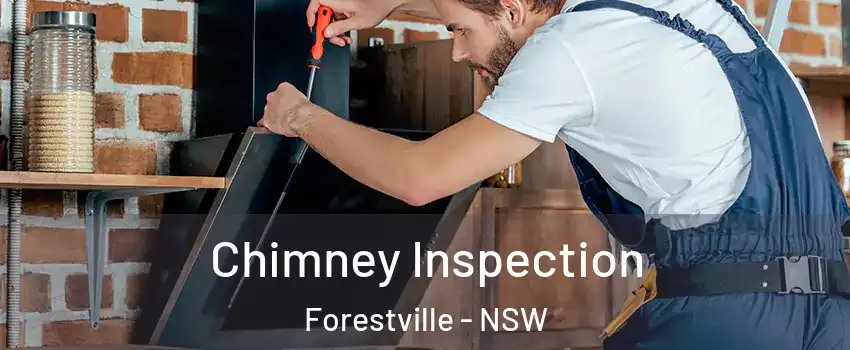 Chimney Inspection Forestville - NSW