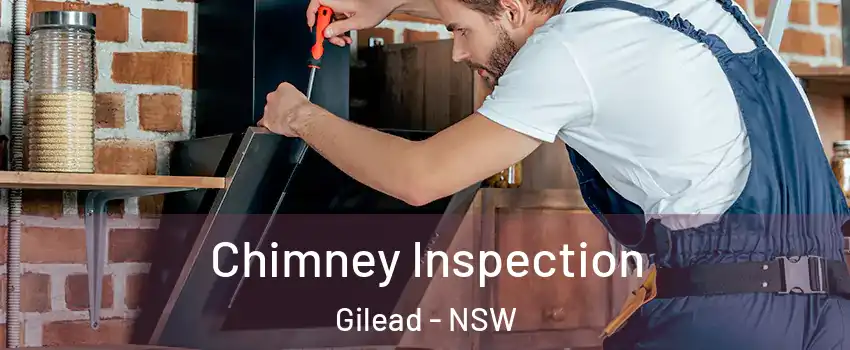 Chimney Inspection Gilead - NSW