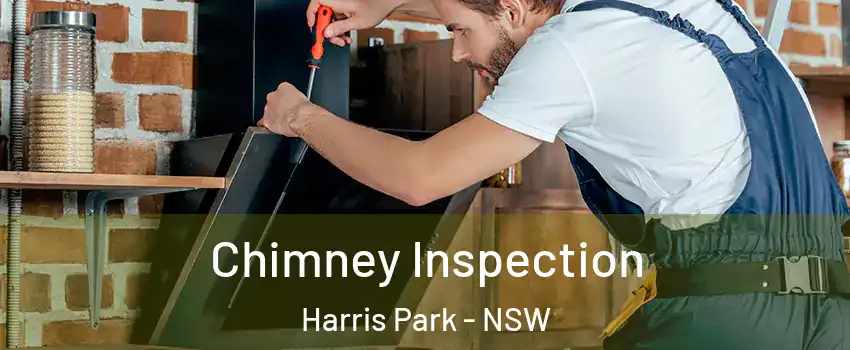 Chimney Inspection Harris Park - NSW