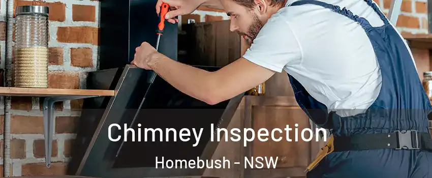 Chimney Inspection Homebush - NSW