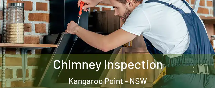 Chimney Inspection Kangaroo Point - NSW
