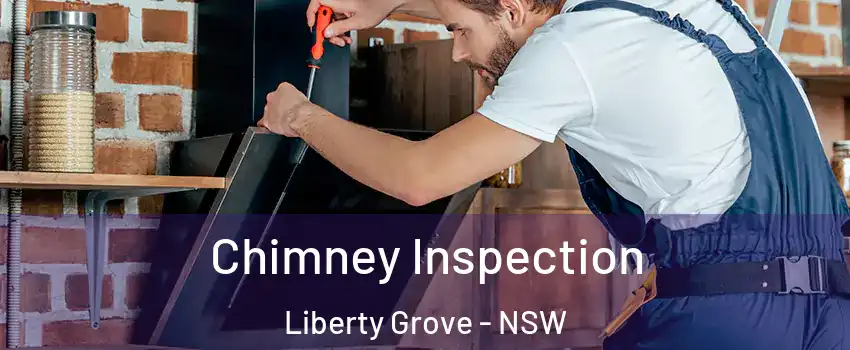 Chimney Inspection Liberty Grove - NSW