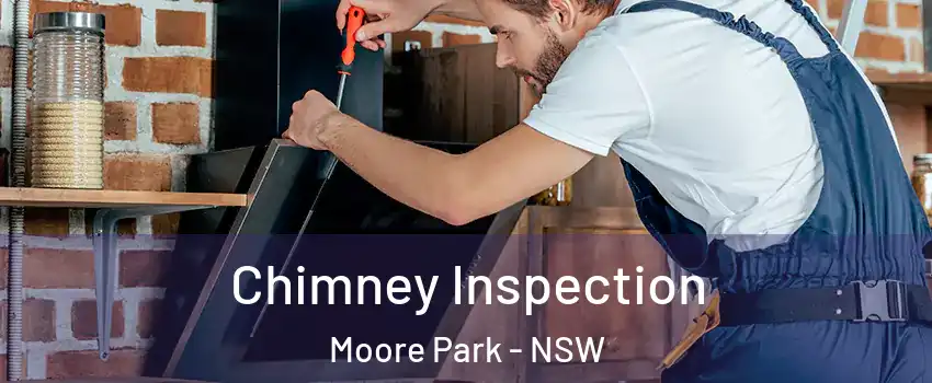 Chimney Inspection Moore Park - NSW