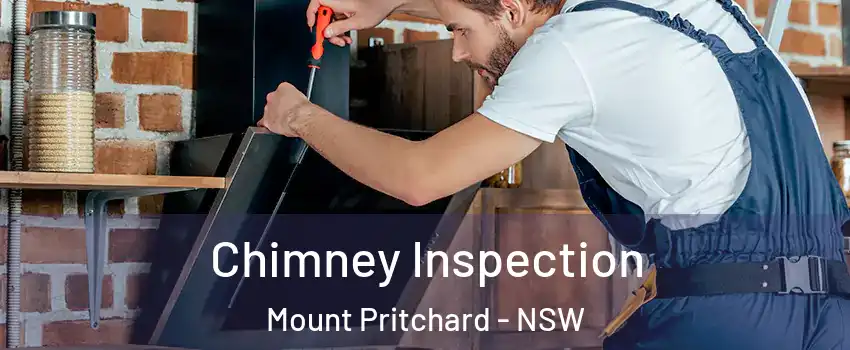 Chimney Inspection Mount Pritchard - NSW