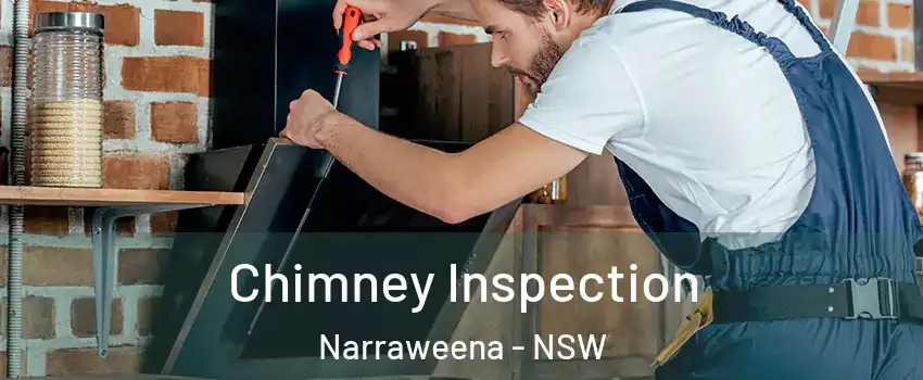 Chimney Inspection Narraweena - NSW