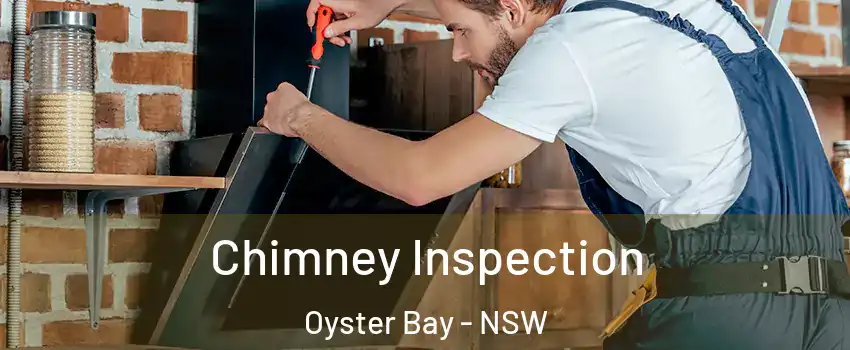 Chimney Inspection Oyster Bay - NSW