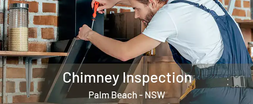 Chimney Inspection Palm Beach - NSW