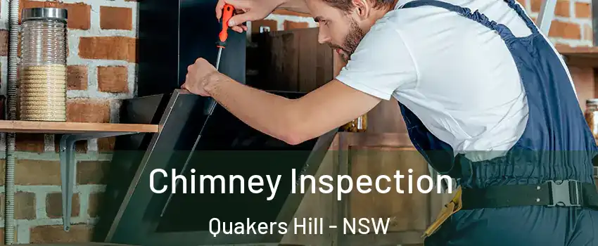 Chimney Inspection Quakers Hill - NSW
