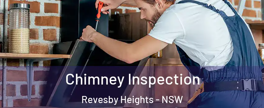 Chimney Inspection Revesby Heights - NSW