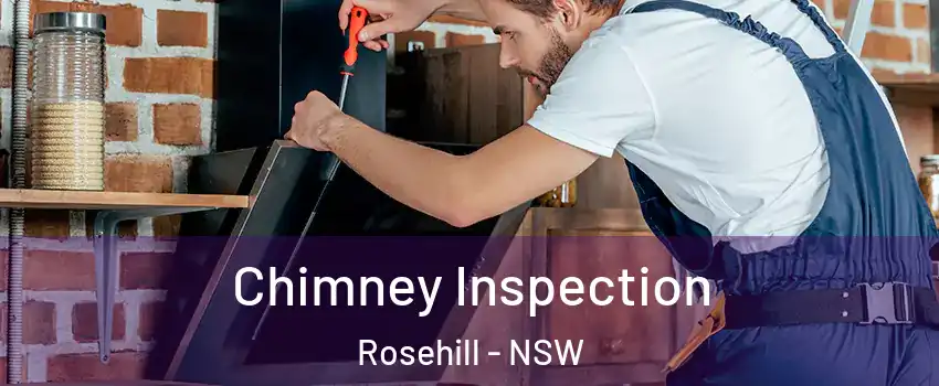Chimney Inspection Rosehill - NSW