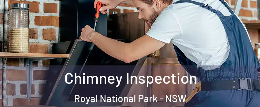 Chimney Inspection Royal National Park - NSW