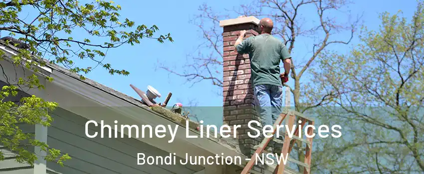Chimney Liner Services Bondi Junction - NSW