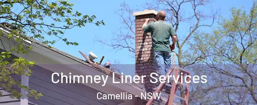 Chimney Liner Services Camellia - NSW