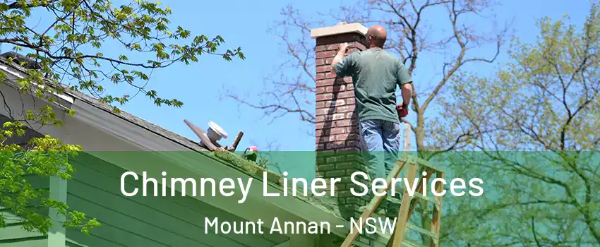 Chimney Liner Services Mount Annan - NSW
