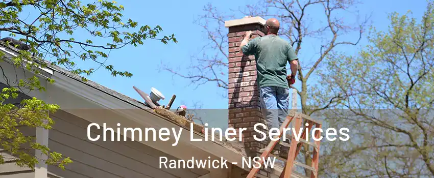 Chimney Liner Services Randwick - NSW