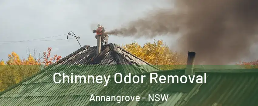 Chimney Odor Removal Annangrove - NSW