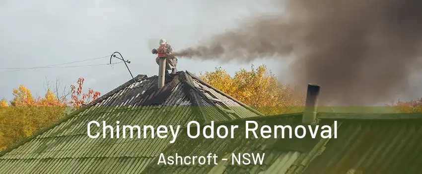 Chimney Odor Removal Ashcroft - NSW