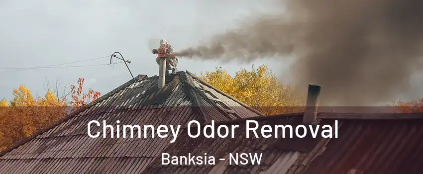 Chimney Odor Removal Banksia - NSW