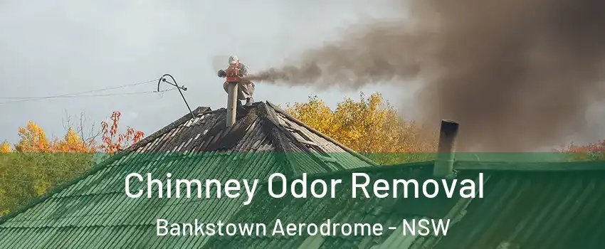 Chimney Odor Removal Bankstown Aerodrome - NSW