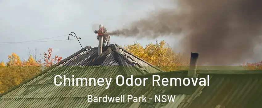 Chimney Odor Removal Bardwell Park - NSW