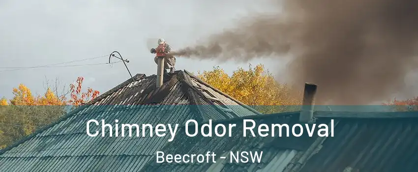 Chimney Odor Removal Beecroft - NSW