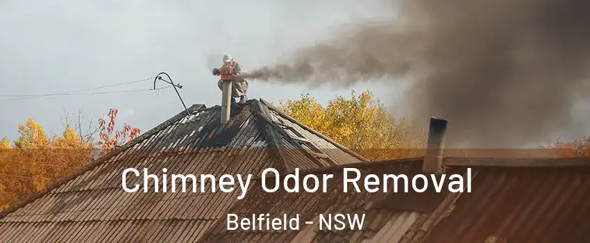 Chimney Odor Removal Belfield - NSW