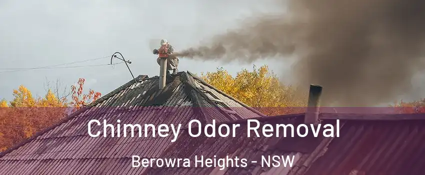 Chimney Odor Removal Berowra Heights - NSW