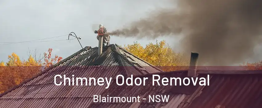  Chimney Odor Removal Blairmount - NSW